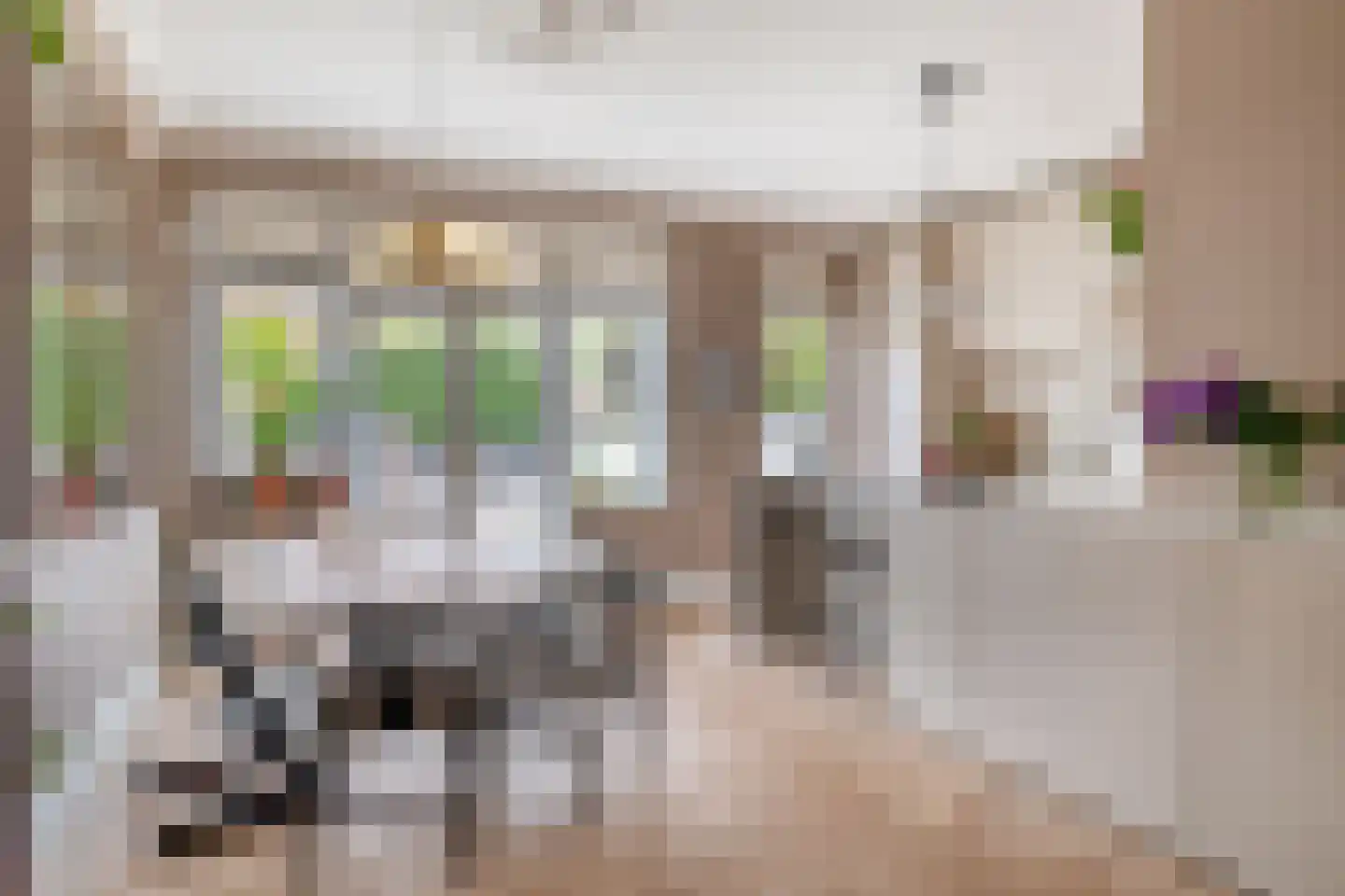 Laan van Nieuw Oosteinde 171 Voorburg thumbnail 16