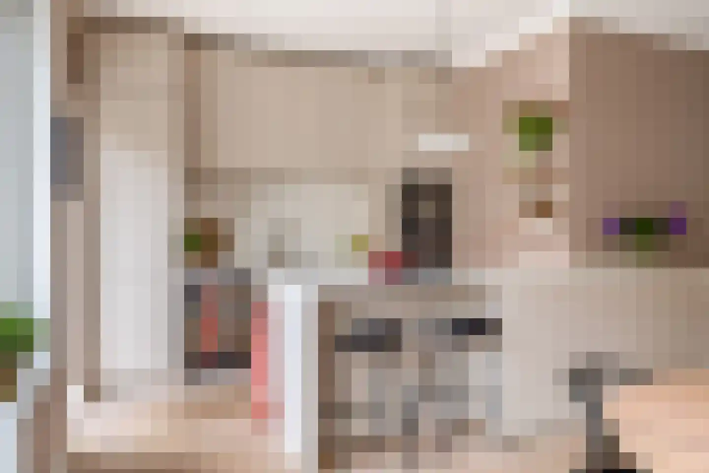 Laan van Nieuw Oosteinde 171 Voorburg thumbnail 17