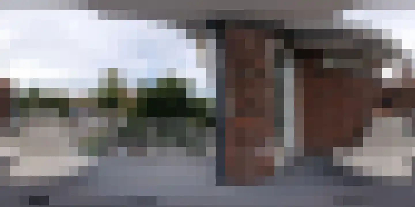 Laan van Nieuw Oosteinde 171 Voorburg thumbnail 58