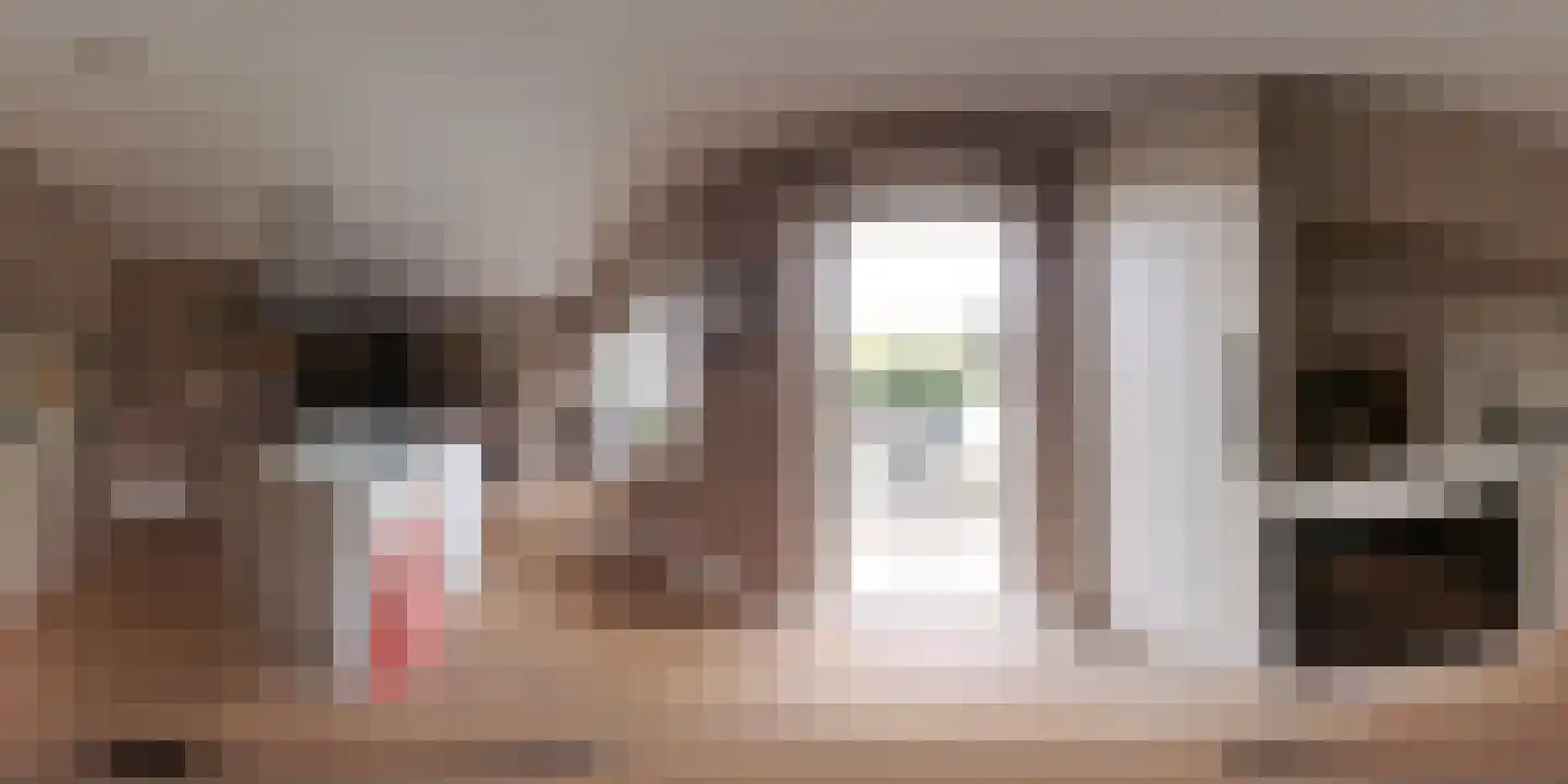 Laan van Nieuw Oosteinde 171 Voorburg thumbnail 60