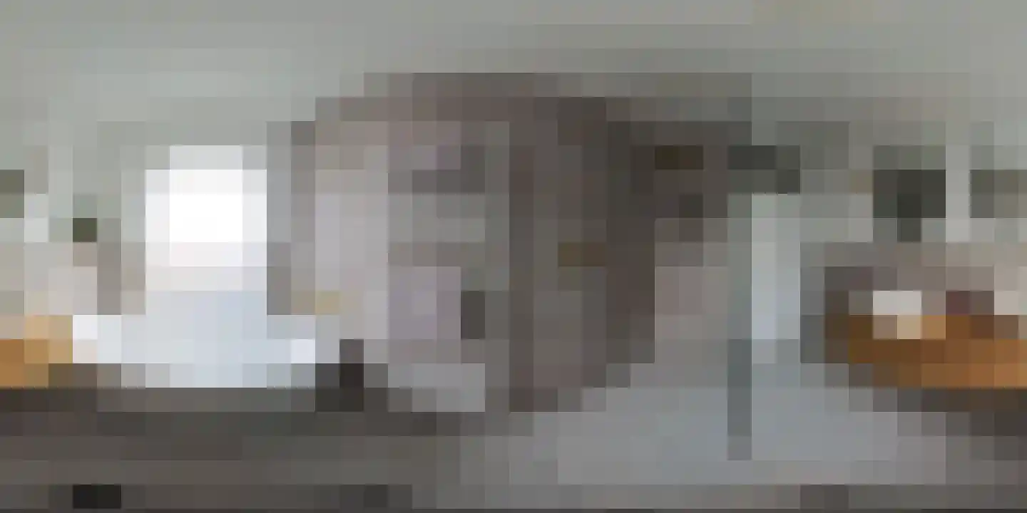 Laan van Nieuw Oosteinde 171 Voorburg thumbnail 64