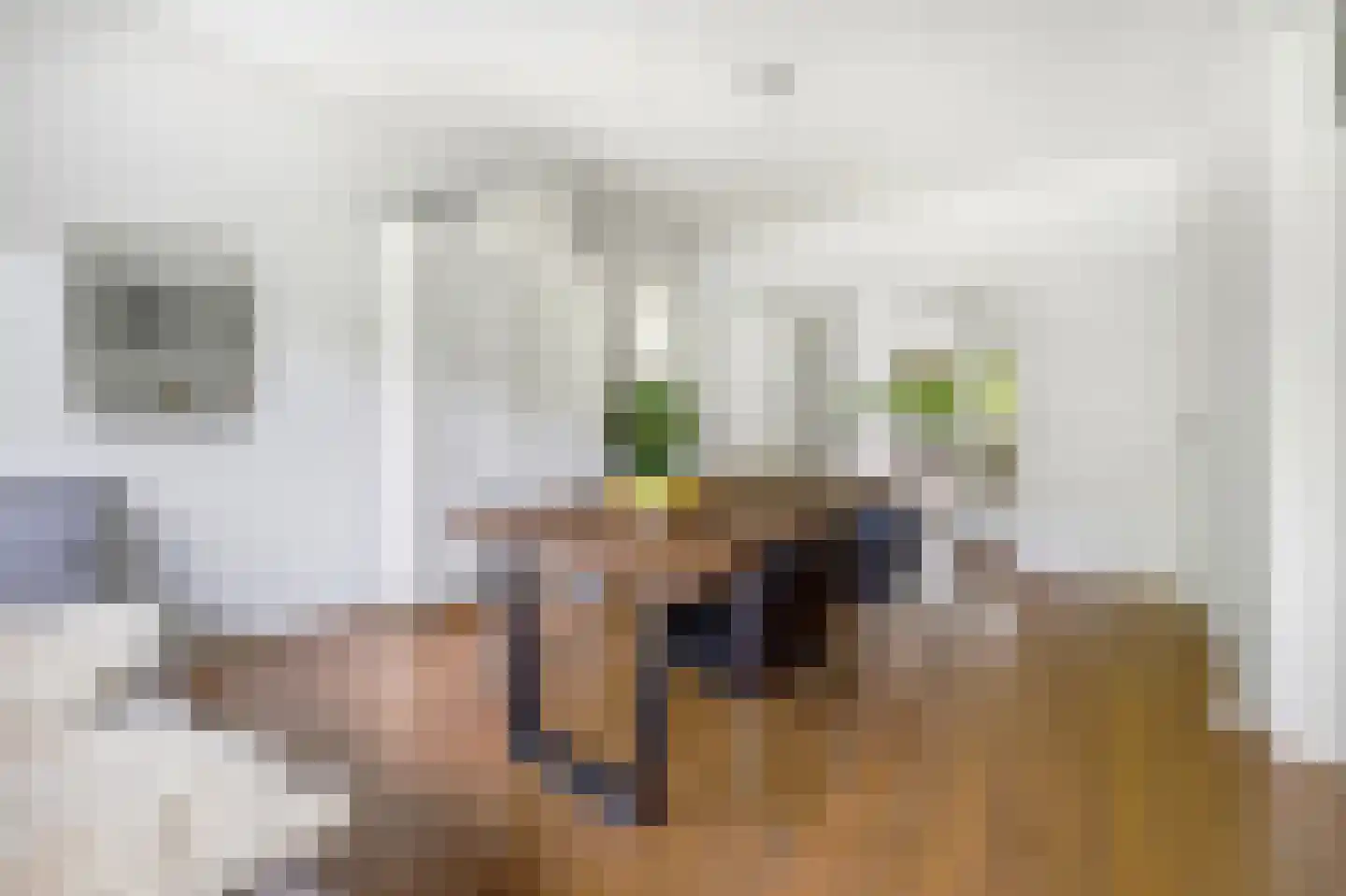 Laan van Nieuw Oosteinde 184 Voorburg thumbnail 14