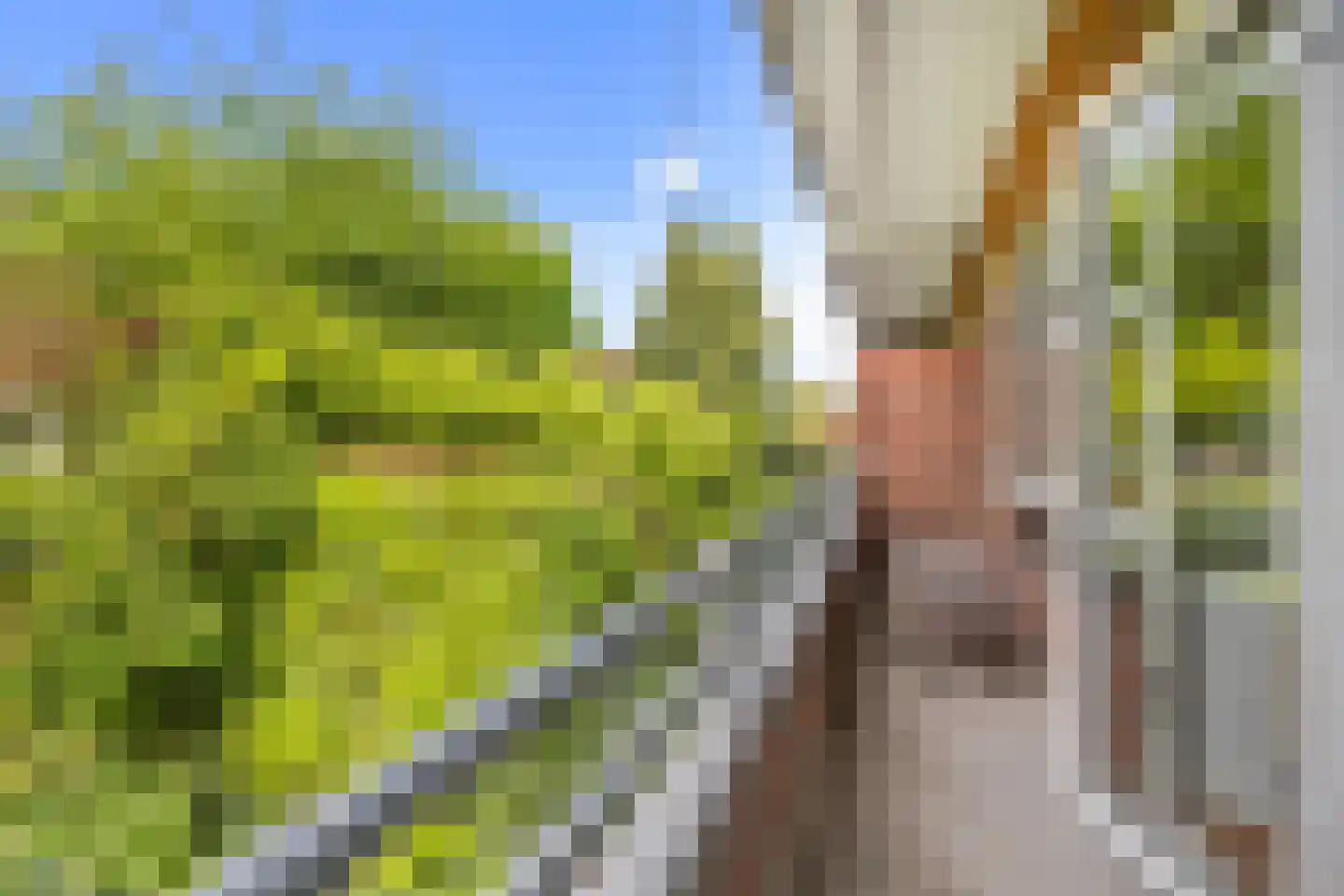 Laan van Nieuw Oosteinde 184 Voorburg thumbnail 18