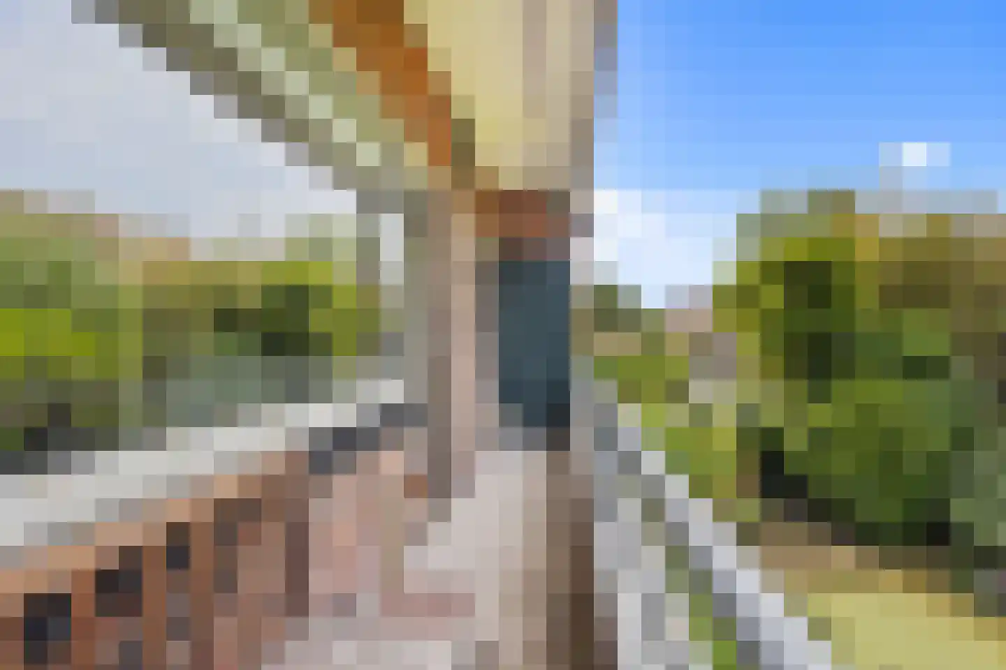 Laan van Nieuw Oosteinde 184 Voorburg thumbnail 19