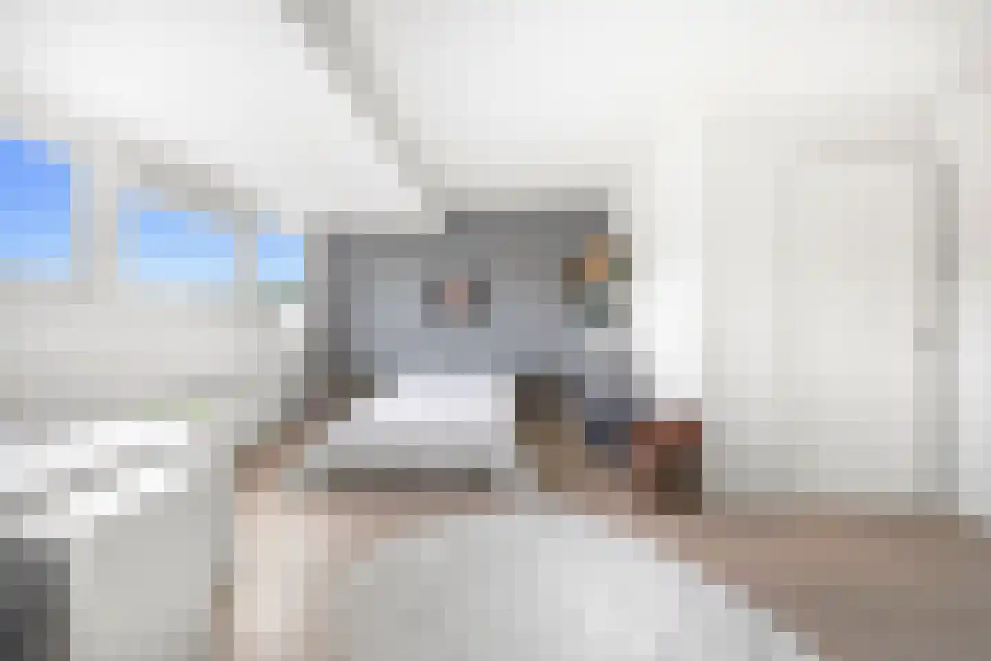 Laan van Nieuw Oosteinde 184 Voorburg thumbnail 23