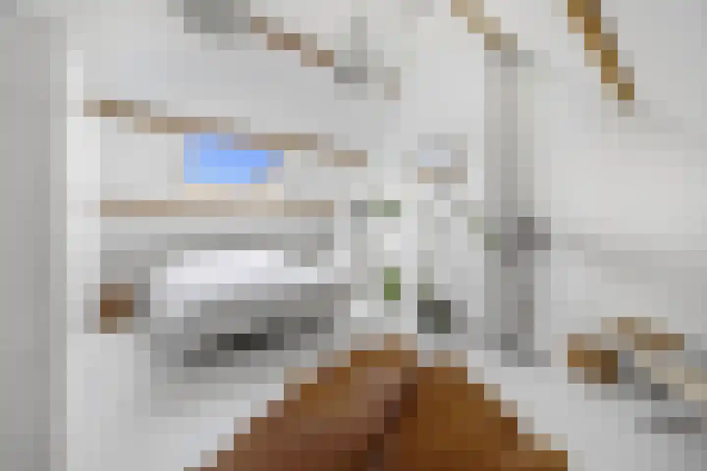 Laan van Nieuw Oosteinde 184 Voorburg thumbnail 5