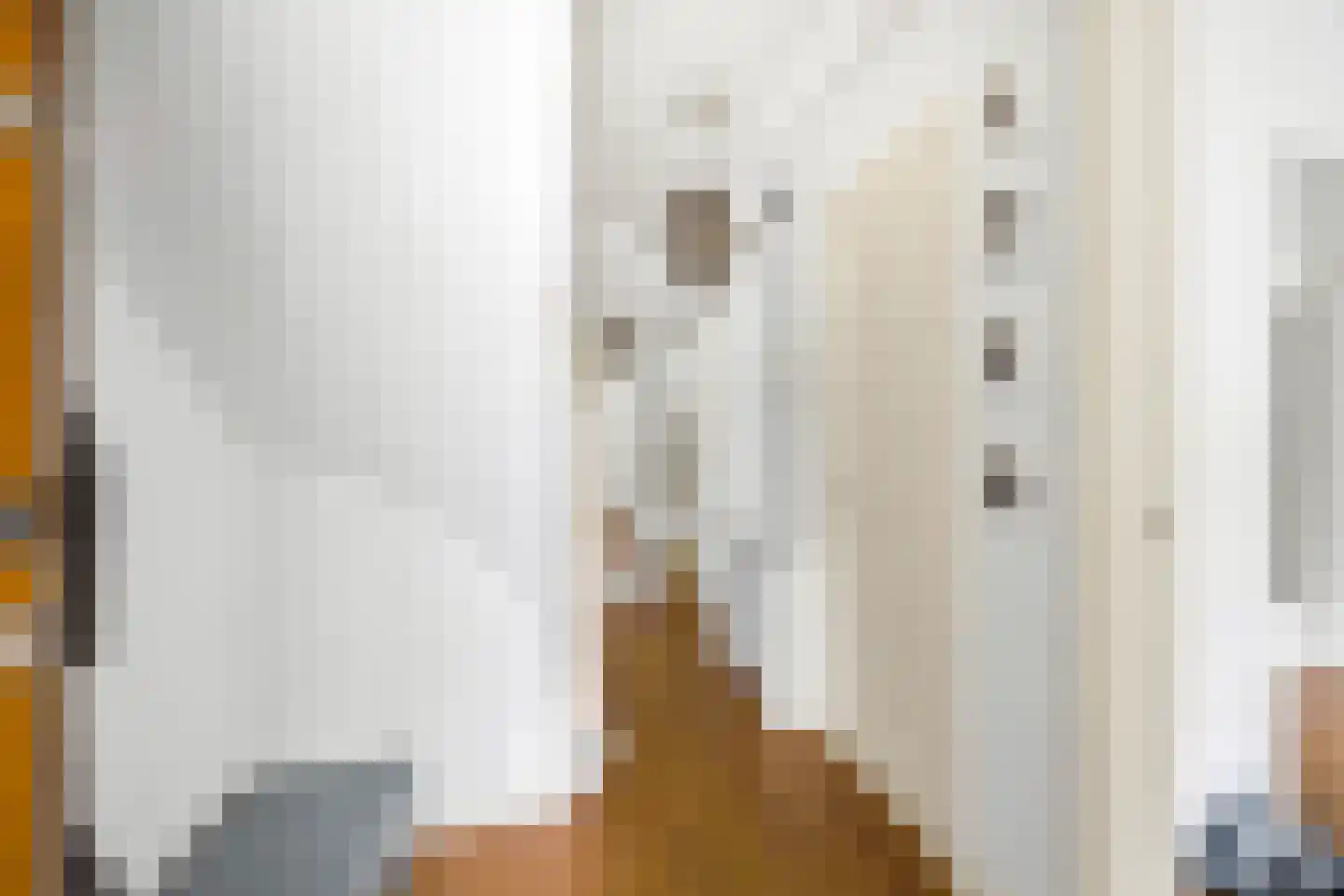 Laan van Nieuw Oosteinde 184 Voorburg thumbnail 7