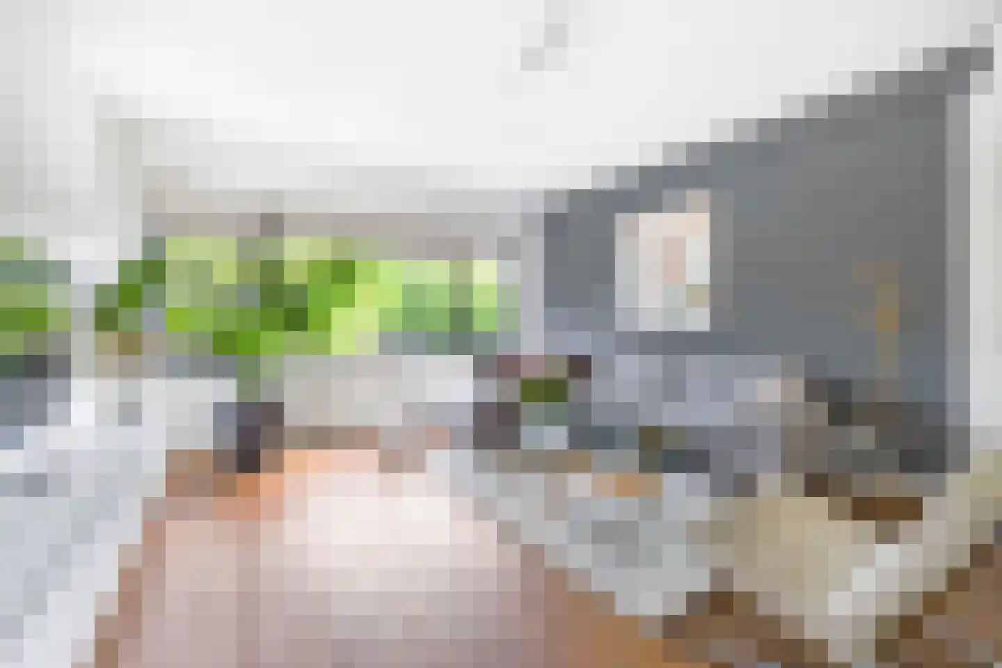 Laan van Nieuw Oosteinde 184 Voorburg thumbnail 8