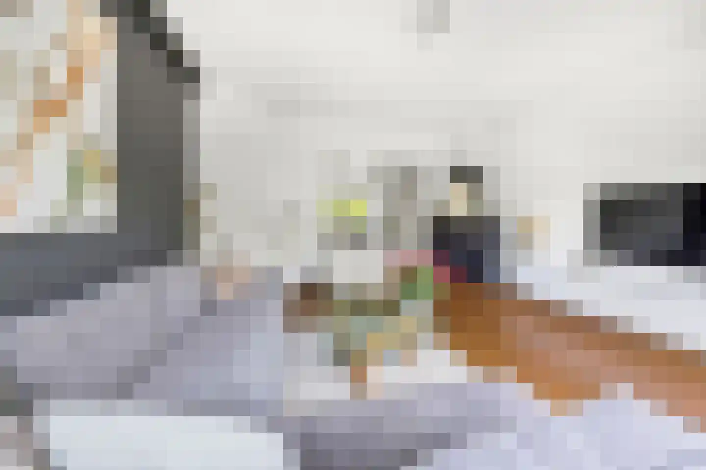 Laan van Nieuw Oosteinde 184 Voorburg thumbnail 9