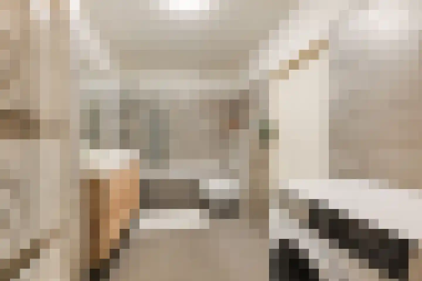 Laan van Nieuw Oosteinde 186 Voorburg thumbnail 32