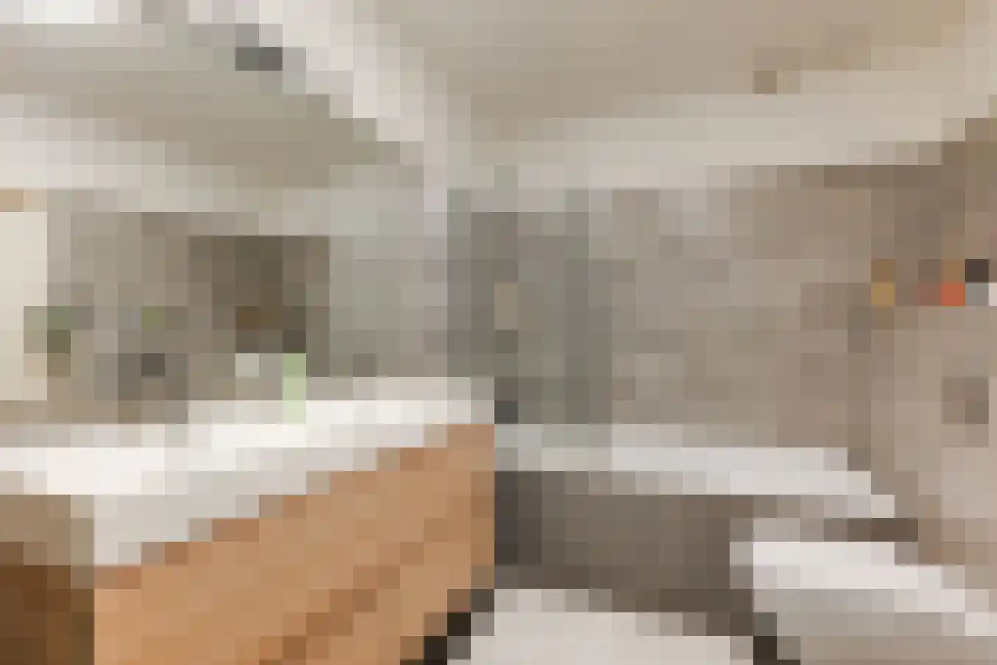 Laan van Nieuw Oosteinde 186 Voorburg thumbnail 33
