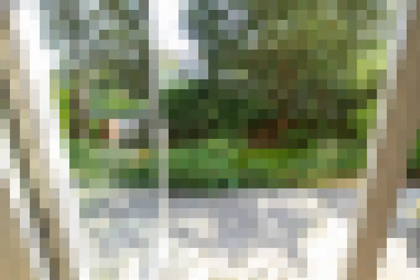 Laan van Nieuw Oosteinde 186 Voorburg thumbnail 35