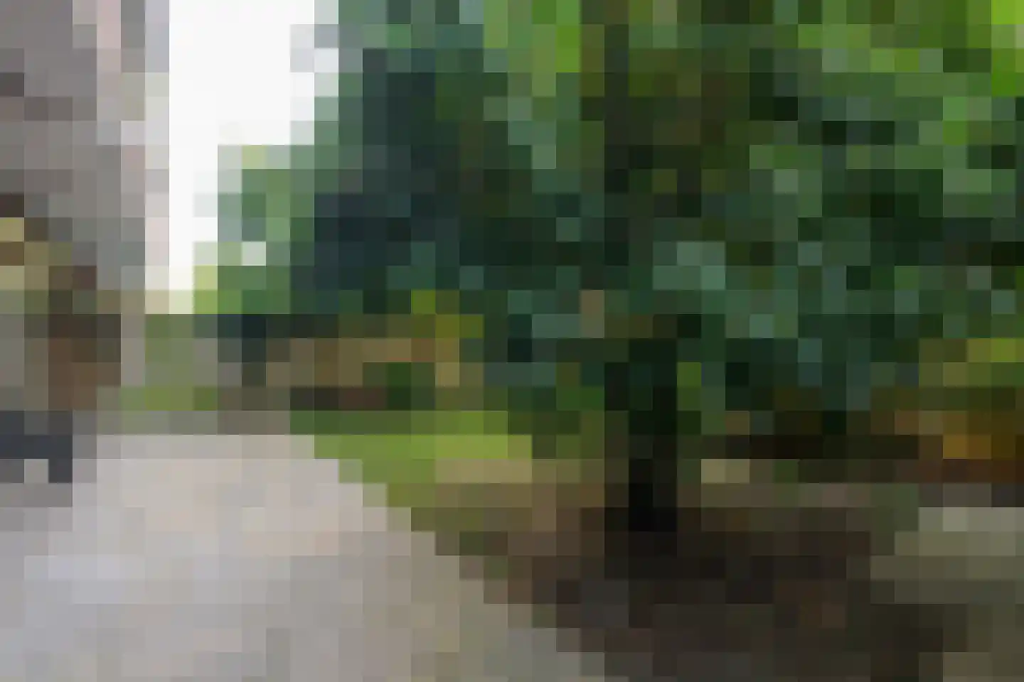 Laan van Nieuw Oosteinde 186 Voorburg thumbnail 36