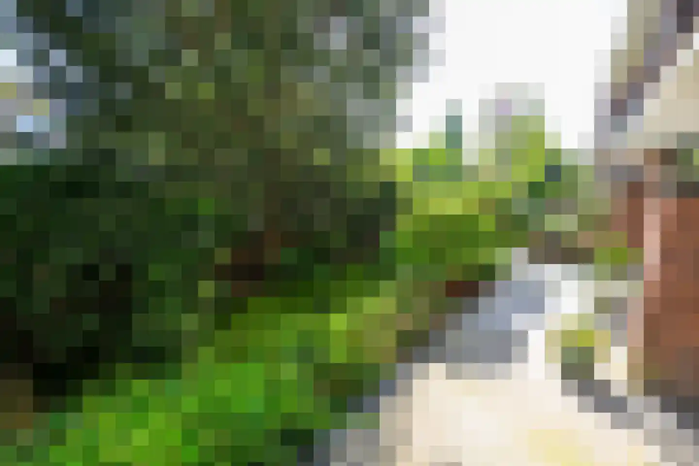 Laan van Nieuw Oosteinde 186 Voorburg thumbnail 39