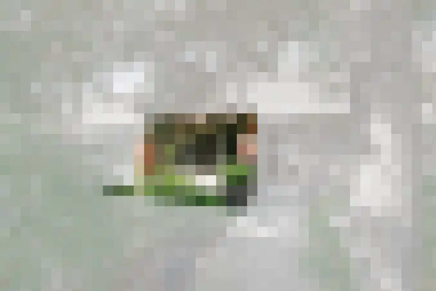 Laan van Nieuw Oosteinde 186 Voorburg thumbnail 40