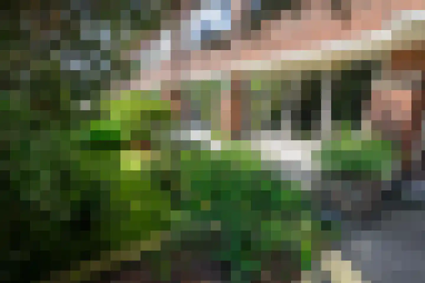 Laan van Nieuw Oosteinde 186 Voorburg thumbnail 7