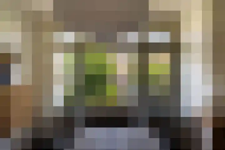 Laan van Nieuw Oosteinde 193 Voorburg thumbnail 12