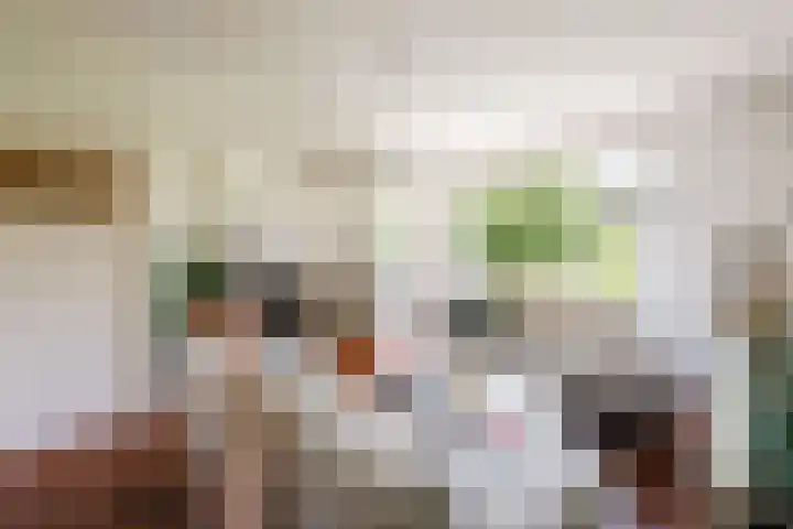Laan van Nieuw Oosteinde 193 Voorburg thumbnail 18