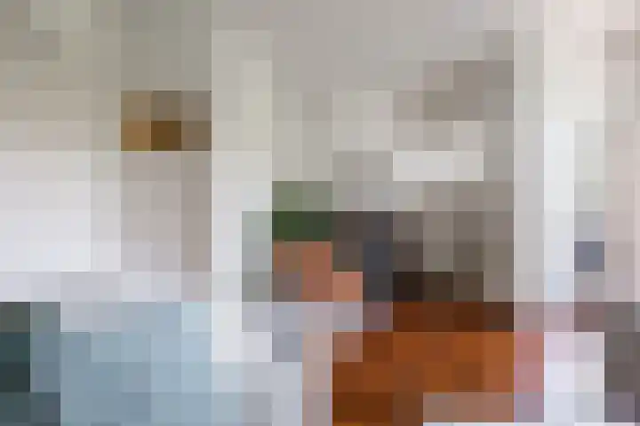Laan van Nieuw Oosteinde 193 Voorburg thumbnail 19