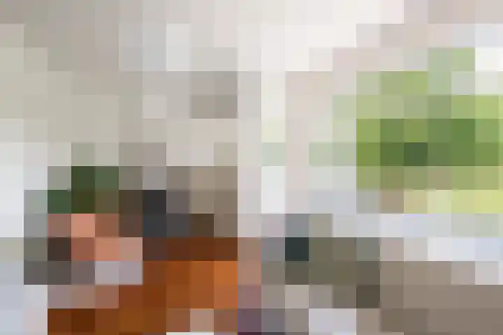 Laan van Nieuw Oosteinde 193 Voorburg thumbnail 20