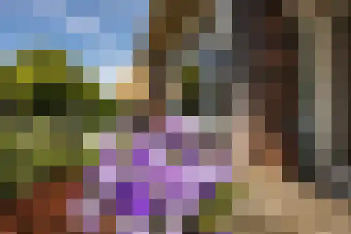 Laan van Nieuw Oosteinde 193 Voorburg thumbnail 24