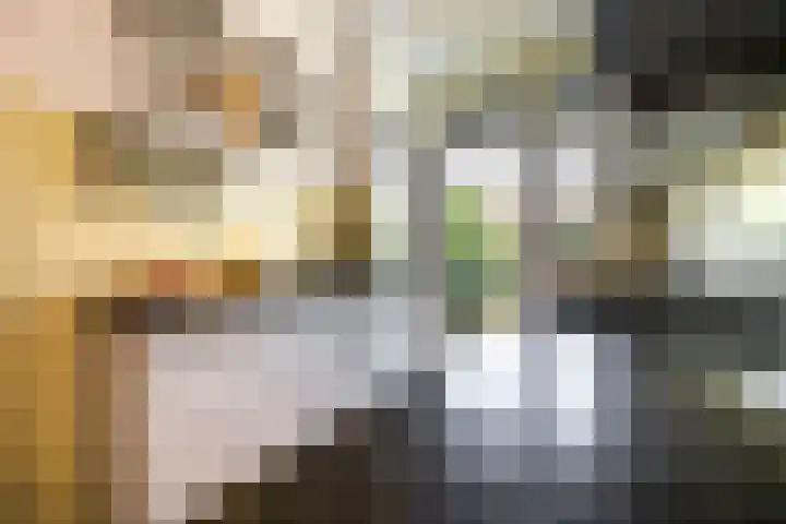 Laan van Nieuw Oosteinde 193 Voorburg thumbnail 29