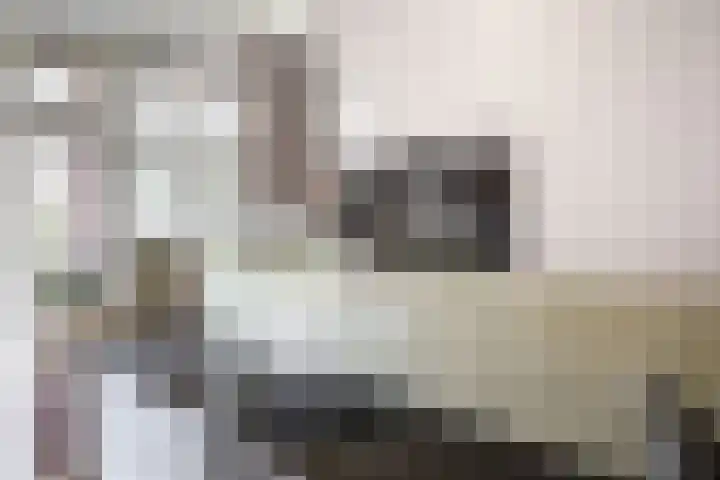 Laan van Nieuw Oosteinde 193 Voorburg thumbnail 30