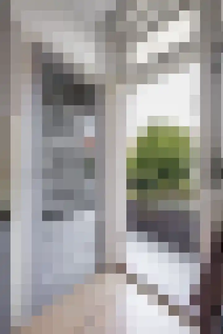 Laan van Nieuw Oosteinde 193 Voorburg thumbnail 31