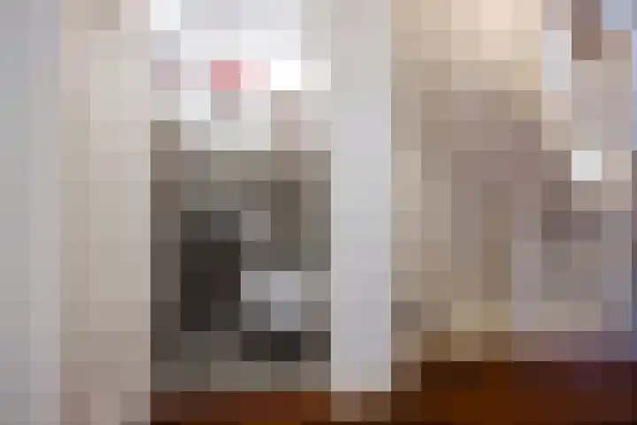 Laan van Nieuw Oosteinde 193 Voorburg thumbnail 34