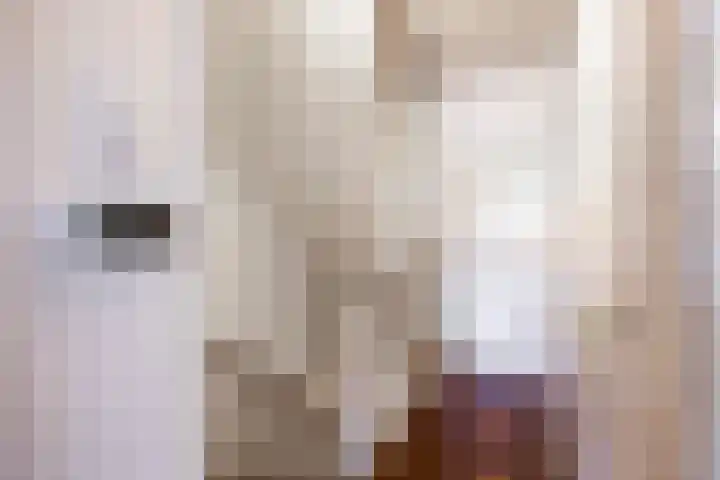 Laan van Nieuw Oosteinde 193 Voorburg thumbnail 36