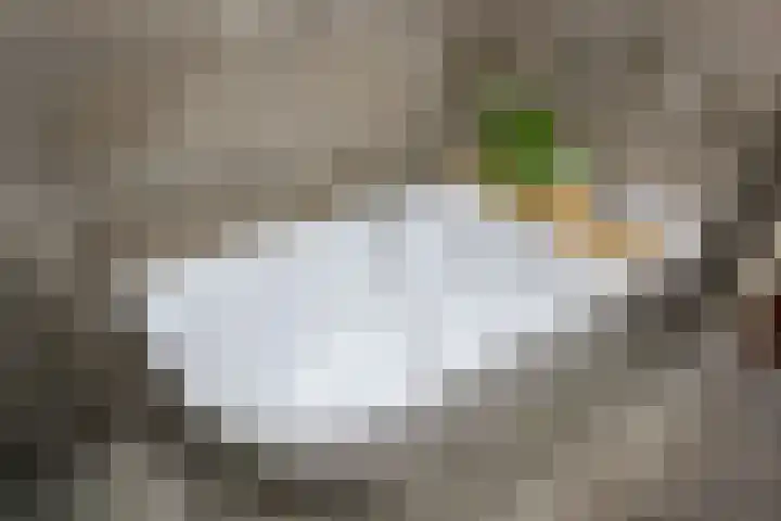 Laan van Nieuw Oosteinde 193 Voorburg thumbnail 46
