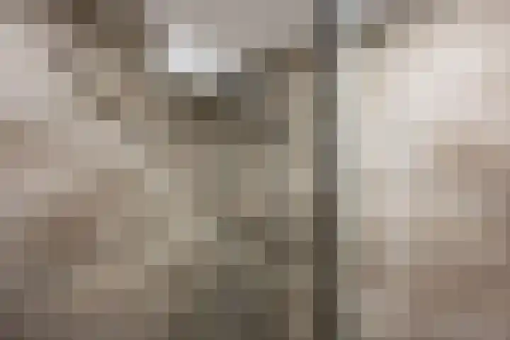 Laan van Nieuw Oosteinde 193 Voorburg thumbnail 47