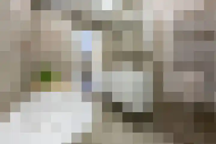 Laan van Nieuw Oosteinde 193 Voorburg thumbnail 48