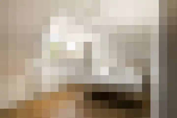 Laan van Nieuw Oosteinde 193 Voorburg thumbnail 50