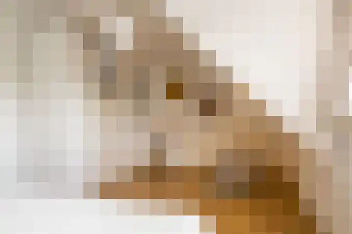 Laan van Nieuw Oosteinde 193 Voorburg thumbnail 52
