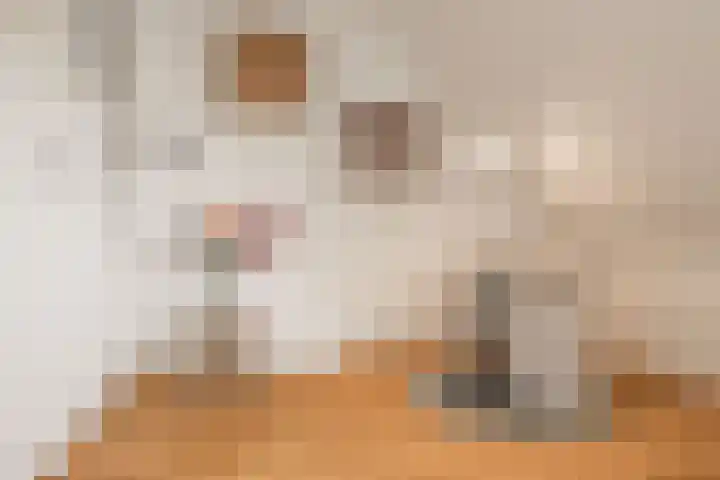 Laan van Nieuw Oosteinde 193 Voorburg thumbnail 53