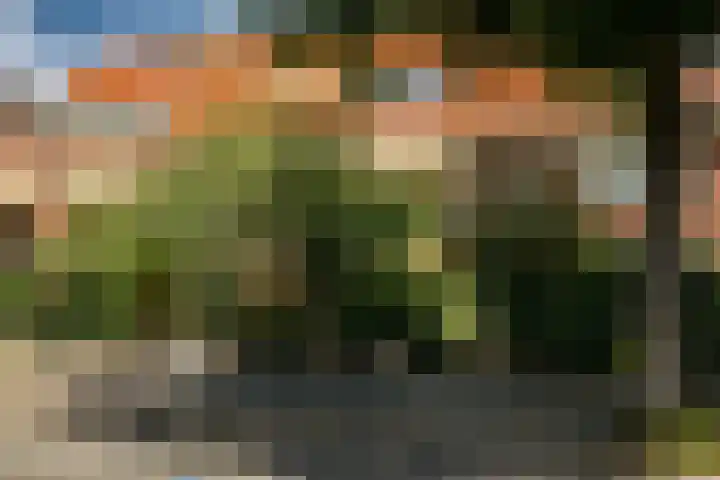 Laan van Nieuw Oosteinde 193 Voorburg thumbnail 69