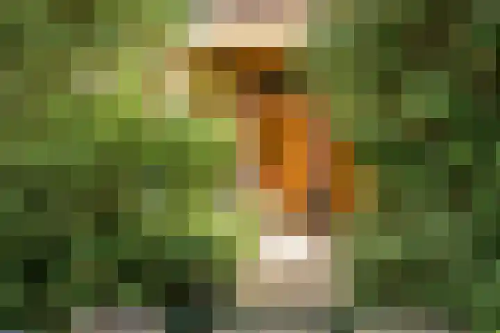 Laan van Nieuw Oosteinde 193 Voorburg thumbnail 7