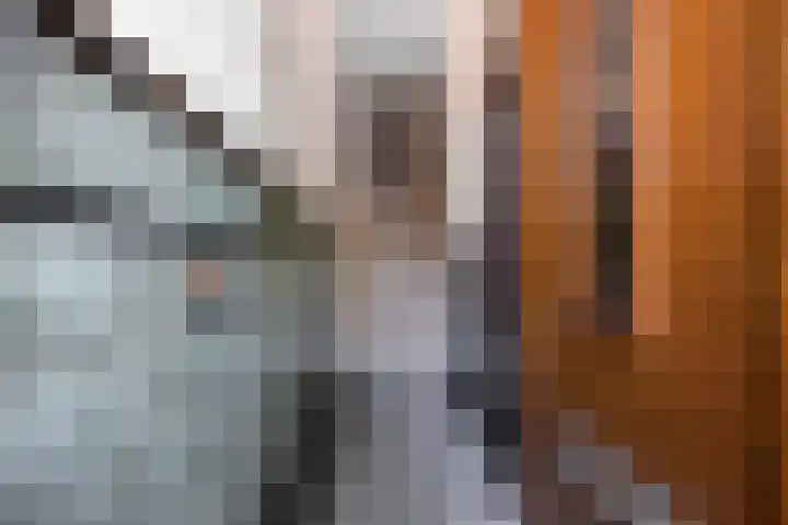 Laan van Nieuw Oosteinde 193 Voorburg thumbnail 8