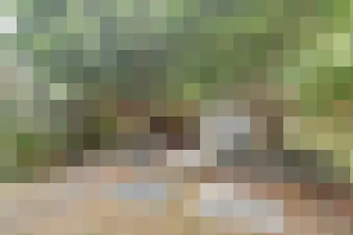 Laan van Nieuw Oosteinde 235 Voorburg thumbnail 13