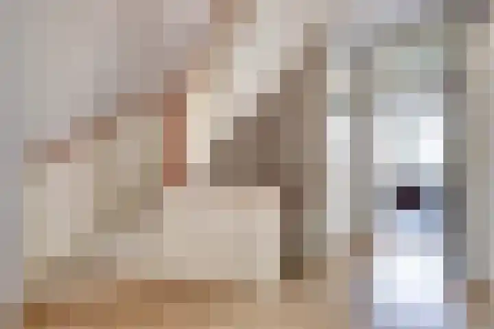 Laan van Nieuw Oosteinde 235 Voorburg thumbnail 18