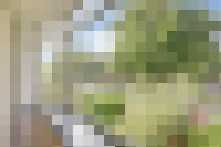 Laan van Nieuw Oosteinde 235 Voorburg thumbnail 22