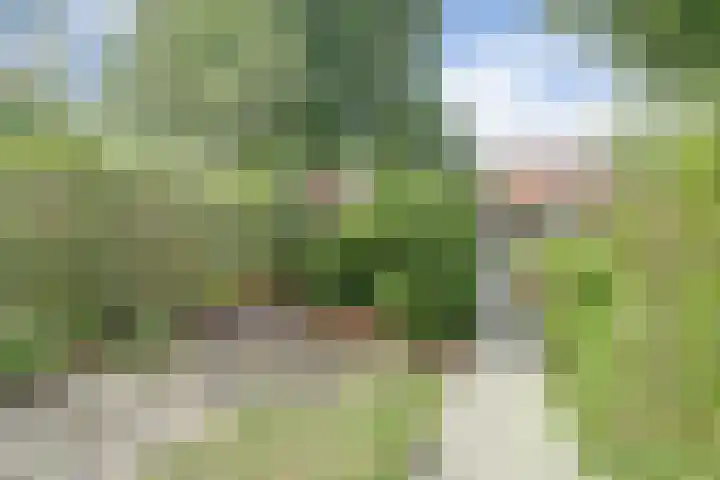 Laan van Nieuw Oosteinde 235 Voorburg thumbnail 39