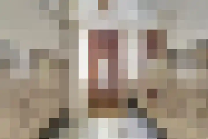 Laan van Nieuw Oosteinde 235 Voorburg thumbnail 4