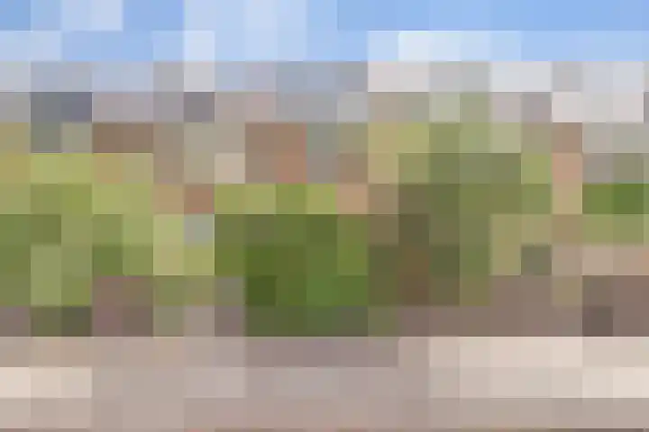 Laan van Nieuw Oosteinde 235 Voorburg thumbnail 40