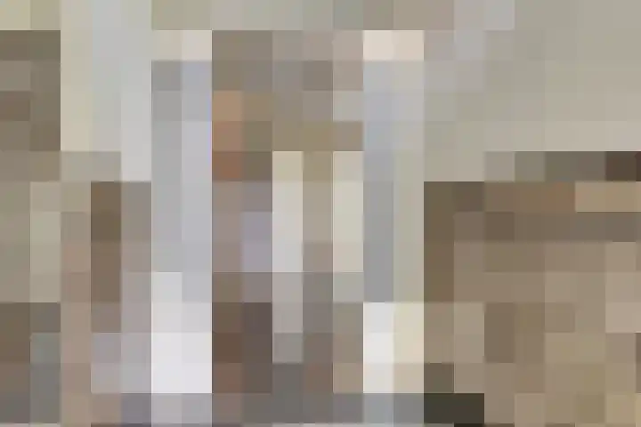 Laan van Nieuw Oosteinde 235 Voorburg thumbnail 5