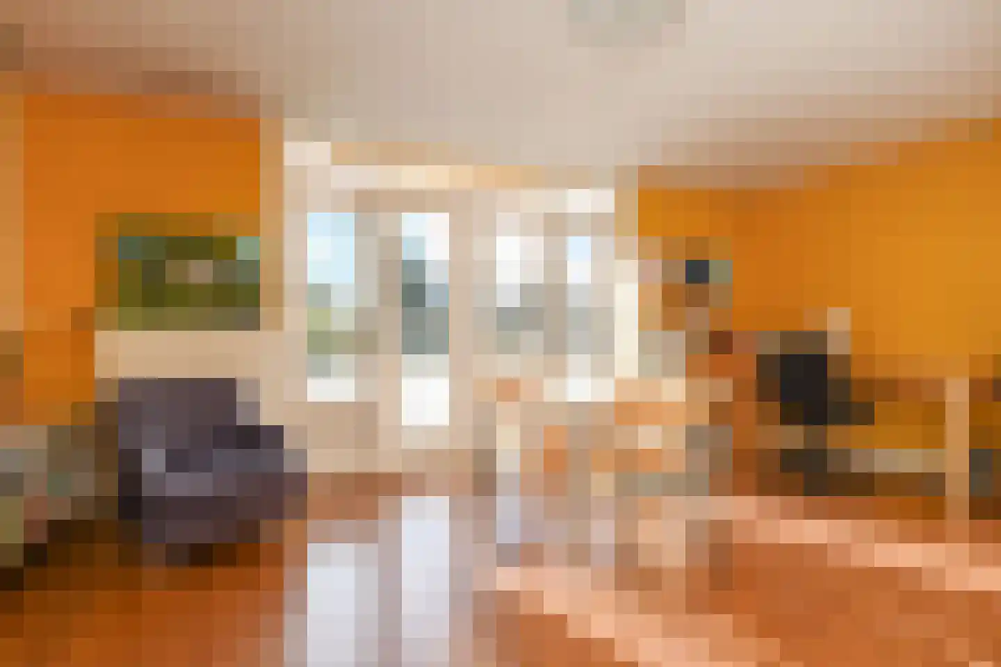 Laan van Nieuw Oosteinde 24 Voorburg thumbnail 30
