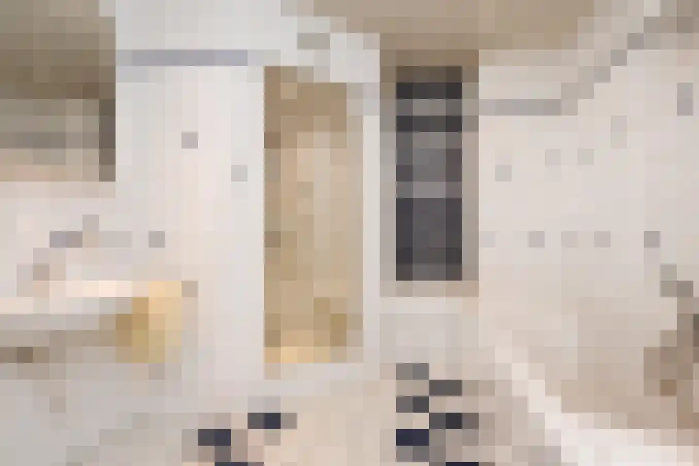 Laan van Nieuw Oosteinde 24 Voorburg thumbnail 36