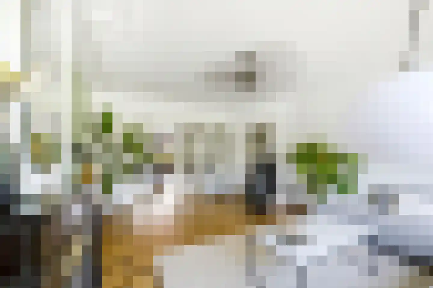 Laan van Nieuw Oosteinde 266 Voorburg thumbnail 10