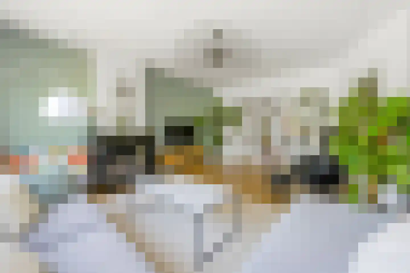 Laan van Nieuw Oosteinde 266 Voorburg thumbnail 11